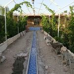 یعقوب رفیعی
