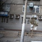 دکتر امیر مهبد زارع