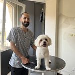 آرایشگر حیوانات اشکان