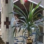 سفره خانه سنتی فانوس آبی