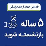 بیمه پیشتازان  پاسارگاد عظیمی