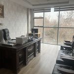 وكيل دادگستری اقای محمدعلی