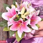 گل اردیبهشت