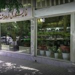 گل اردیبهشت