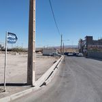 باربری شاملی