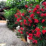 اقامتگاه بوم‌گردی باغ گلها