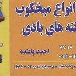 تعمیرانواع میخکوب و منگنه های بادی