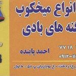 تعمیرانواع میخکوب و منگنه های بادی