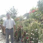 گل و گیاه سید (گلخانه سیدحسین)