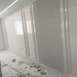 رامین حیدری شاملو