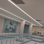 رامین حیدری شاملو