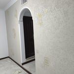رامین حیدری شاملو