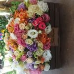 گل آرایی لوتوس