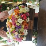 گل آرایی لوتوس