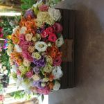 گل آرایی لوتوس