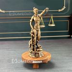وكيل دادگستری اقای محمدعلی