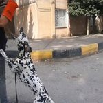 ایمان تاجیک