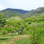 رستوران برقرو