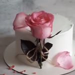 کیک و شیرینی خانگی شرق
