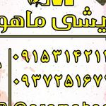 آرایشی و بهداشتی ماهوت