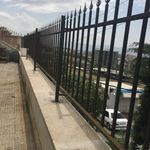 علیرضا یادگاری