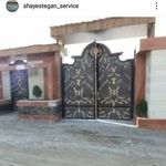 علیرضا قائدی