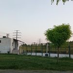پارک امیرکبیر