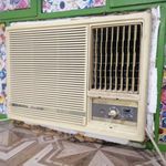 مهدی مریدی