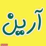 آرین