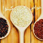 شیرین قطب الدین محمدی