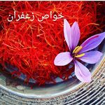 شیرین قطب الدین محمدی