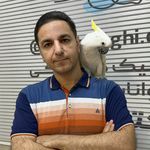 کلینیک دامپزشکی دکتر چراغی