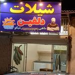 شیلات دلفین