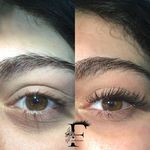 اکستنشن تخصصی مژه