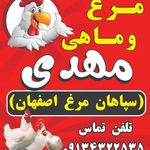 مرغ وماهی مهدی