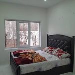 اجاره باغ ویلای بهار روزانه