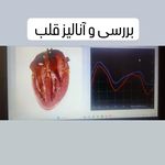 متخصص دکتر رسول سالار