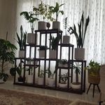 تولیدی استند چوبی میلاد ارومیه