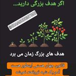 مدرس و محقق طب اسلامی و سنتی