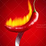 فست فود فلفل قرمز (استاد معین)