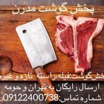 پخش گوشت گوساله و گوسفند
