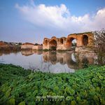 تورگاید بین المللی