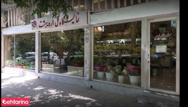 گل اردیبهشت