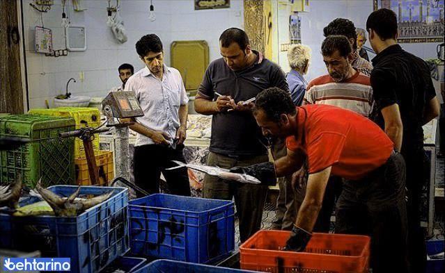 بازار ماهی بوشهر