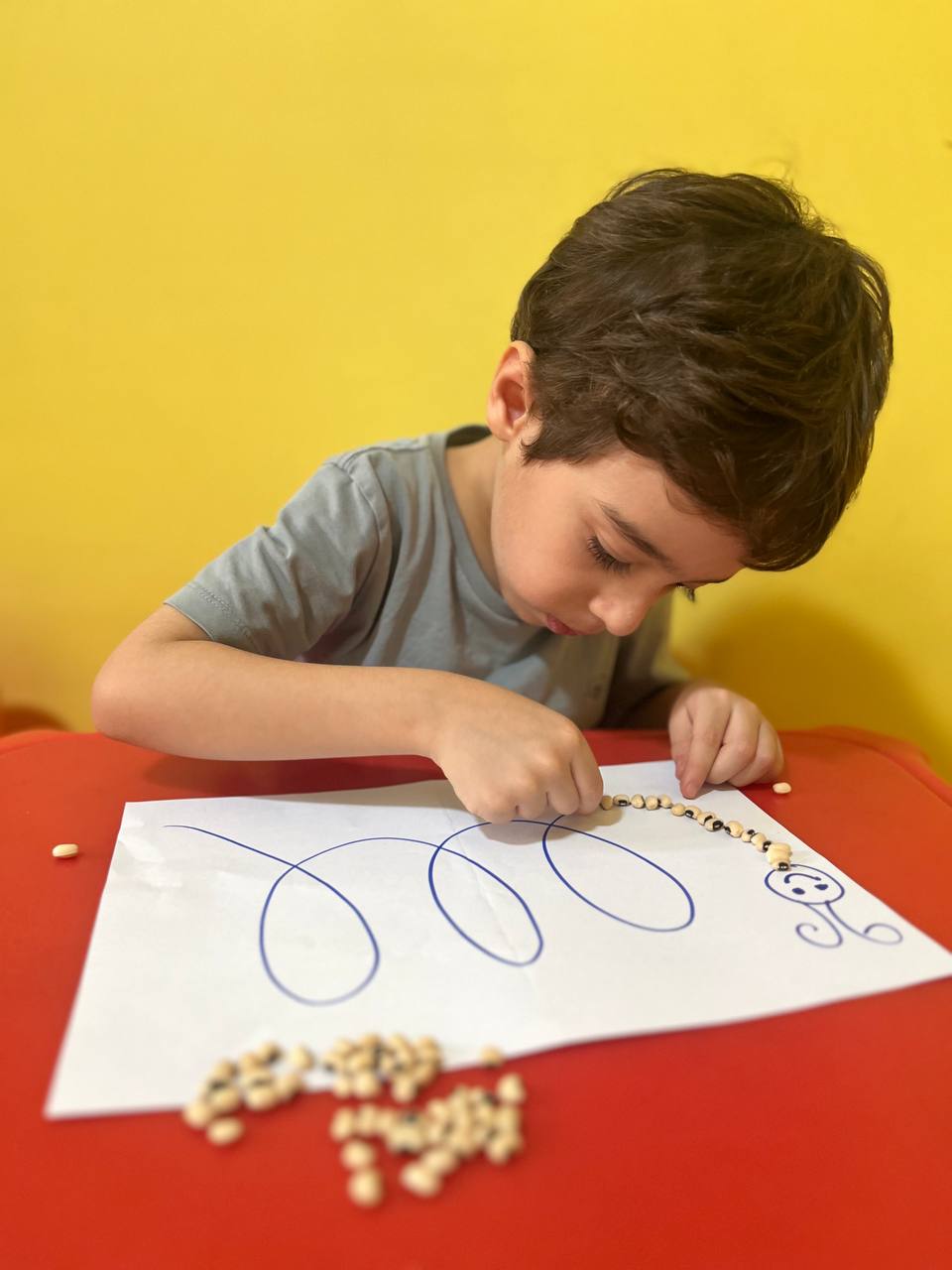 مهدکودک سرزمین پروانه ها