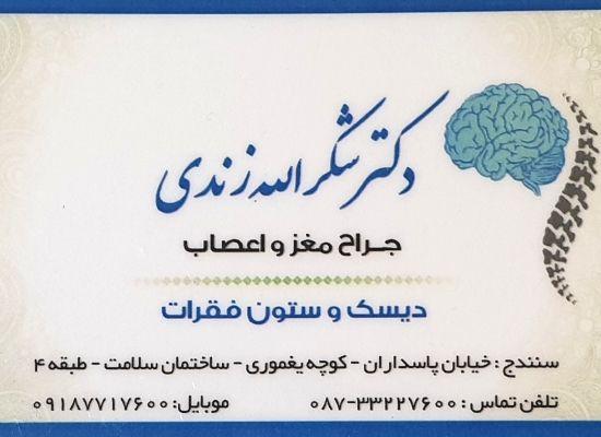دکتر شکرالله زندی