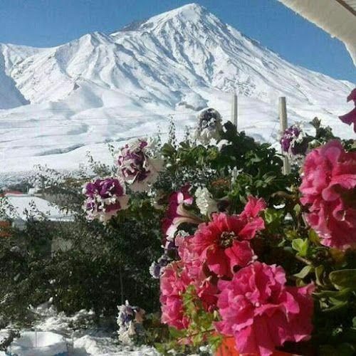 هتل صفا