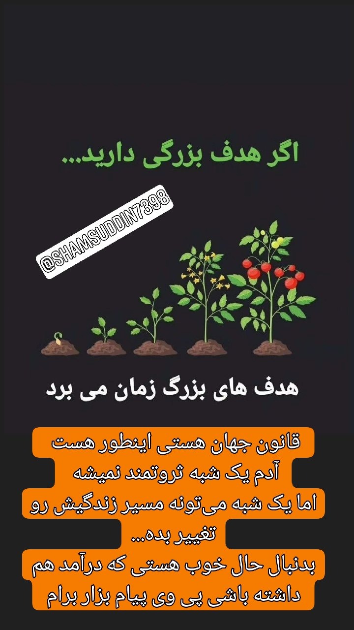 مدرس و محقق طب اسلامی و سنتی
