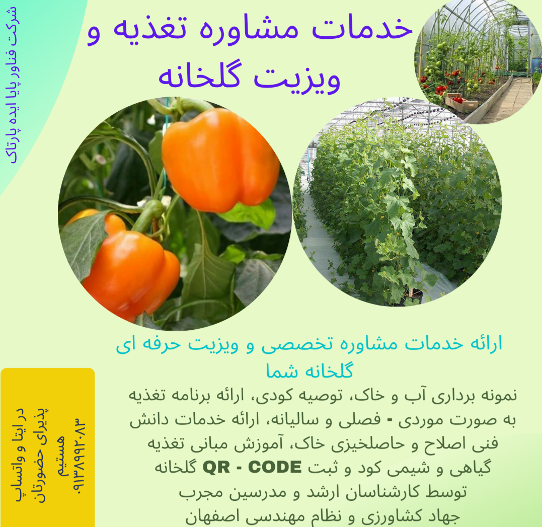پایا ایده پارتاک